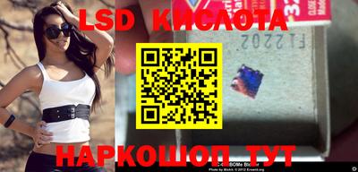 прущие крисы Новодвинск