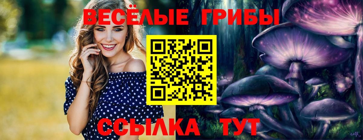 Псилоцибиновые грибы Magic Shrooms  Псилоцибиновые грибы ЛСД  сколько стоит  Вход с VPN  Советск 