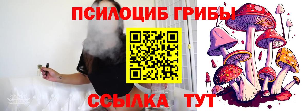 Псилоцибиновые грибы мухоморы Советск